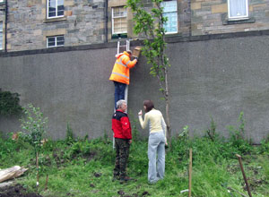 Sarah of Green Seeds was a one woman digging machine!