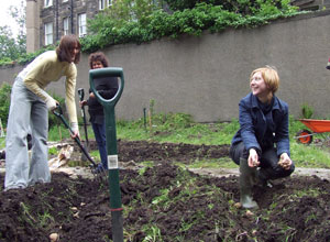 Sarah of Green Seeds was a one woman digging machine!