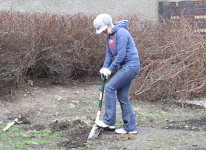 Sarah of Green Seeds was a one woman digging machine!