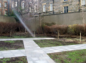 The walled Persevere Garden with it's newly planted fruit trees, and a ray of sunshine falling across it