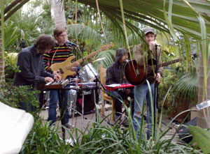 Band of five musicians viewed through foliage