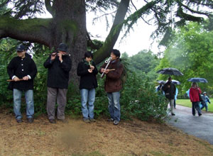 Four musicians stand playing under a coniferous tree as visitors apporach along the path behind them