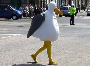 Person in a seagull costume