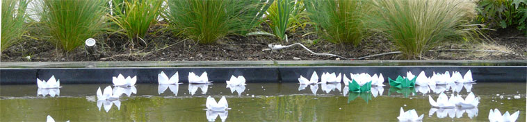 White and green paper lotuses float on the side of the pond in front of ornamental grass plants