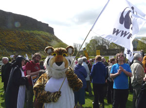 Woman dressed as a tiger waving a WWF flag