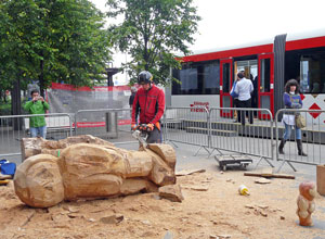 Arran in red cagoule and safety helmet at work on a  tree trunk