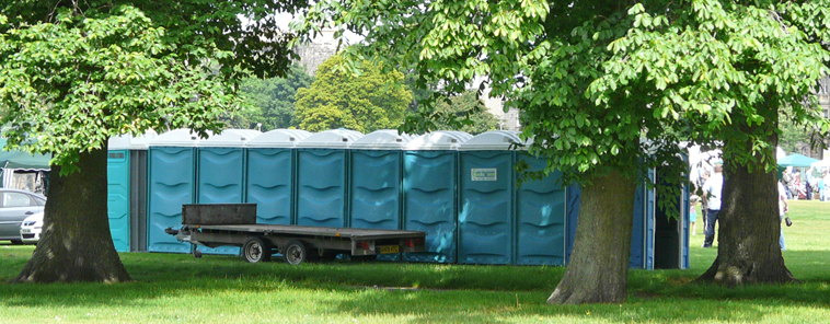 Row of blue Portaloos under horse chestnut trees with open entrance clearly visible