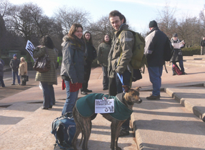 Greyhoundish dog on the steps of the Ross Open Air Theatre with a Unite Against Fascism stuck to  the coat he is wrapped in